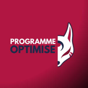 Programme Musculation Optimisé